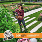Кусторез аккумуляторный WORX WG259E.9, 52 см, 20В, без АКБ и ЗУ