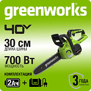 Цепная пила аккумуляторная Greenworks G40CS30II, 40V, 30 см, с 1xАКБ 2Ач и ЗУ (2007807UA)