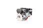 Двигатель VERTON GARDEN BS-168F/19D (196 см3,4.8кВт/6.5л.с,Ø вала 19мм)