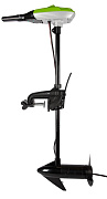 Лодочный мотор Greenworks G12TM55 12V