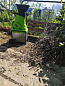 Измельчитель садовый электрический Greenworks GW-2800SD, 220 В, 2800 Вт с контейнером (2208007)