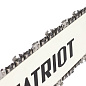 Пила цепная электрическая PATRIOT ESP2016
