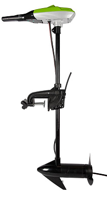 Лодочный мотор Greenworks G12TM55 12V