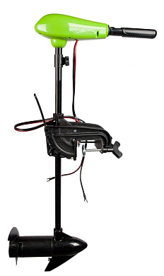 Лодочный мотор Greenworks G12TM32 12V