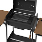 Гриль-Мангал ROLAND Jr.