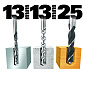 Дрель ударная WORX WX317.2 600Вт